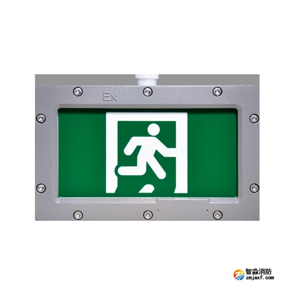 海湾HW-BLJC-1OEI0.5W-VN851A单面安全出口应急疏散指示灯