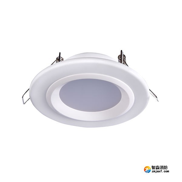 海湾HW-ZFJC-E6W-N621集中电源集中控制型消防应急照明灯具