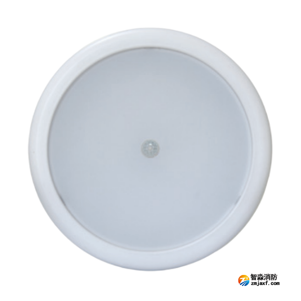 海湾HW-ZFJC-E12W-N653HW集中电源集中控制型消防应急照明灯具