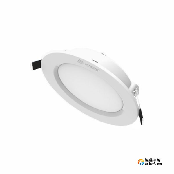 青鸟J-ZFJC-E5W-17Z1集中电源集中控制型消防应急照明灯 嵌顶
