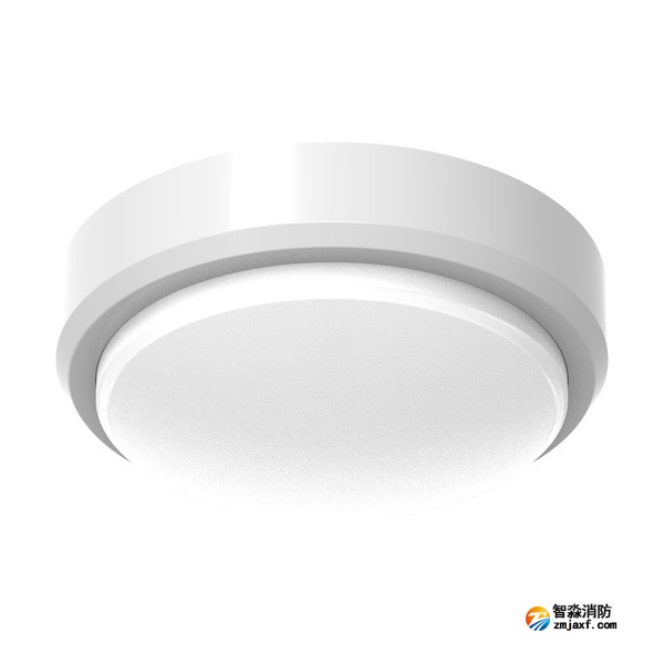 青鸟J-ZFJC-E5W-17X2LA集中电源集中控制型消防应急照明灯具