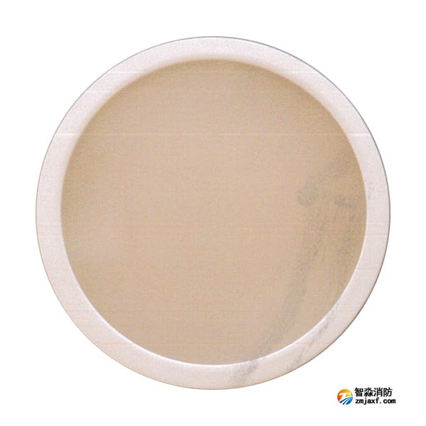 青鸟J-ZFJC-E12W-17Z14LA集中电源集中控制型消防应急照明灯具