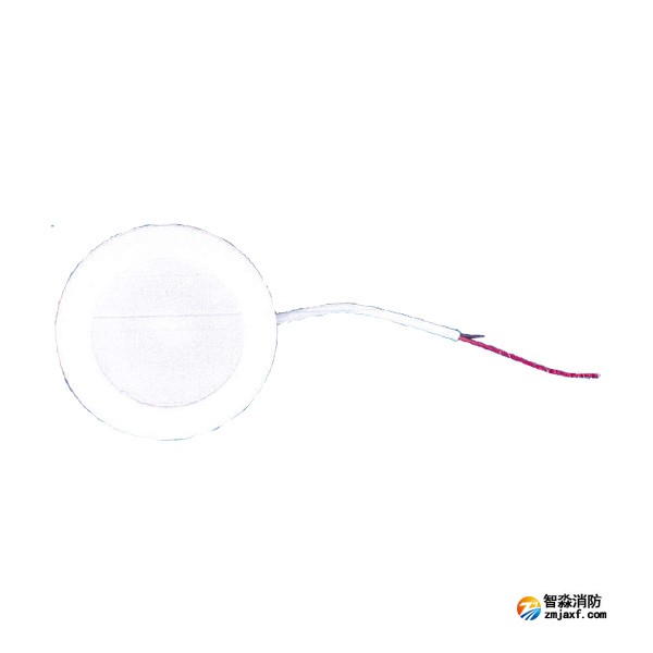 青鸟J-ZFJC-E3W-17QALA集中电源集中控制型消防应急照明灯具