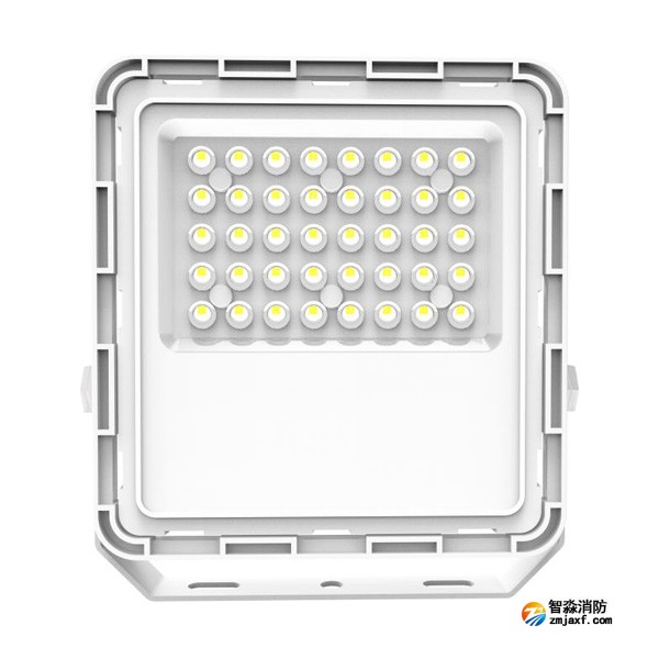 青鸟J-ZFJC-E100W-18Z5A集中电源集中控制型消防应急照明灯具