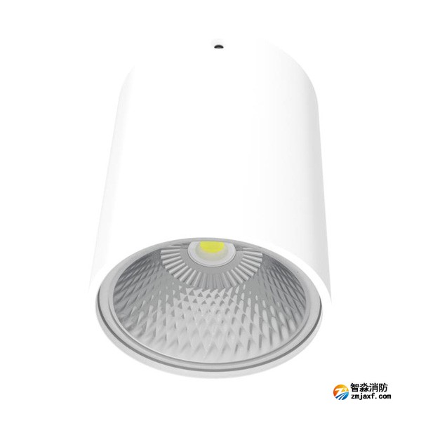 青鸟J-ZFJC-E15W-18Z1A集中电源集中控制型消防应急照明灯具