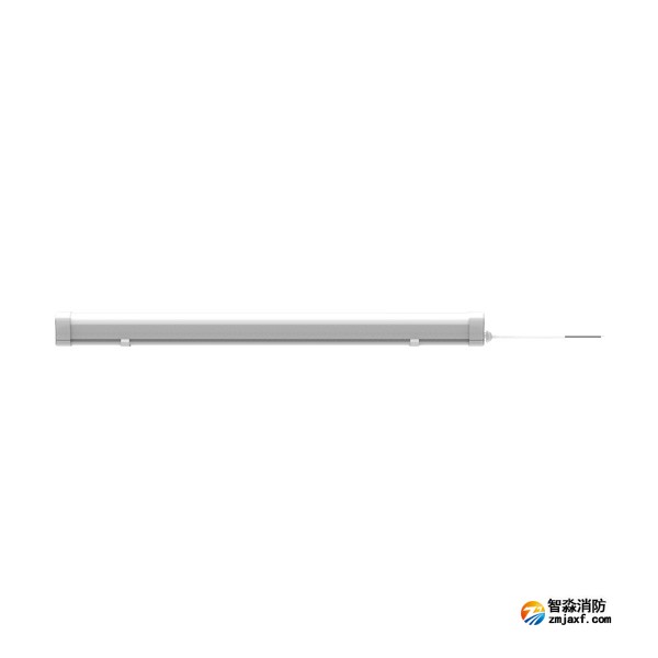 青鸟J-ZFJC-E9W-17Z4A集中电源集中控制型消防应急照明灯具