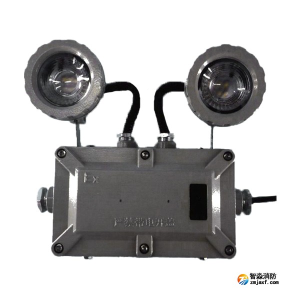 利达LD-ZFJC-E6W-B4200Ex集中电源集中控制型消防应急照明灯具