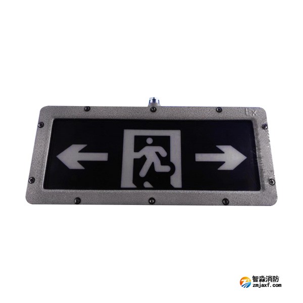 利达LD-BLJC-2LROE Ⅱ 1W-D3200Ex集中电源集中控制型消防应急标志灯具 防爆
