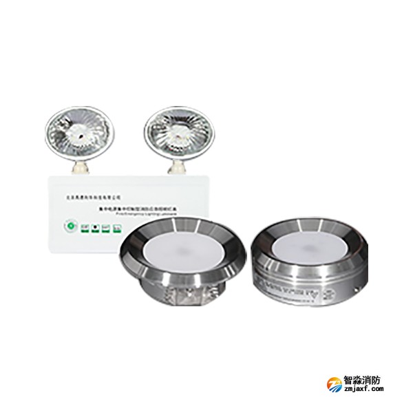 利达GD-ZFJC-E5W-605Q5(5W)集中电源集中控制型应急照明灯具