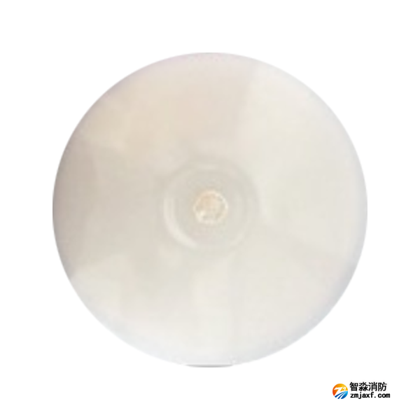 泰和安TS-ZLZC-E8W-6643G自带蓄电池集中控制型消防应急照明灯具 吸顶式