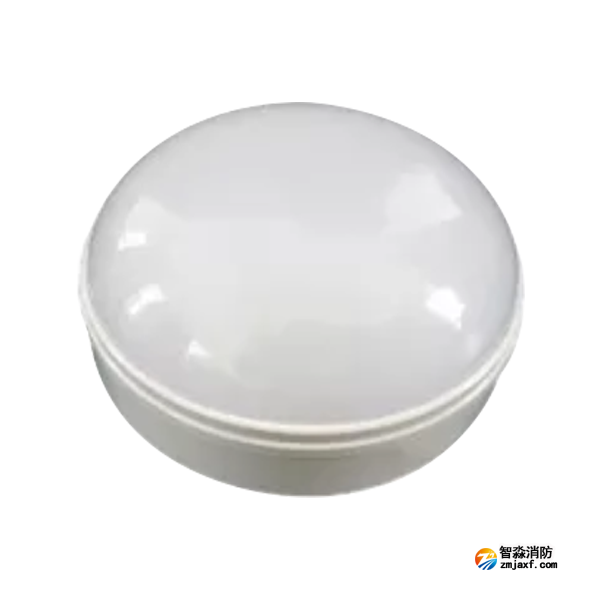 泰和安TS-ZLZC-E5W-6640G自带蓄电池集中控制型消防应急照明灯具 吸顶式