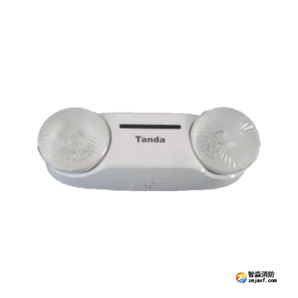 泰和安TS-ZLZC-E5W-6650自带蓄电池集中控制型消防应急照明灯具 壁挂式