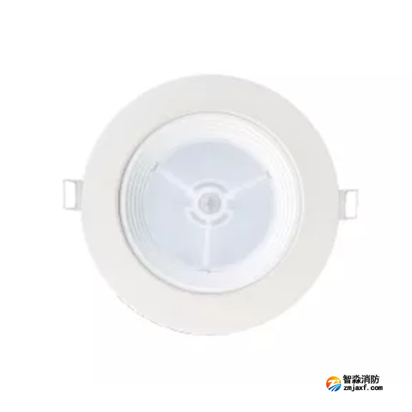 泰和安TS-ZFJC-E3W-6610B集中电源集中控制型消防应急照明灯具 嵌顶式