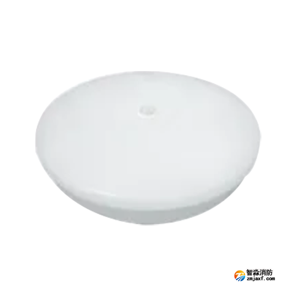 泰和安TS-ZFJC-E12W-6628集中电源集中控制型消防应急照明灯具 吸顶式