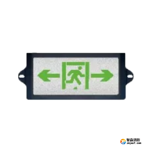泰和安TS-BLJC-1LROEⅠ0.5W-6483集中电源集中控制型消防应急标志灯具 隧道标志灯