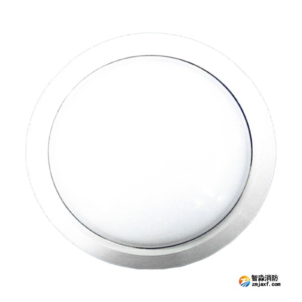 泰和安TS-ZFJC-E3W-6615B集中电源集中控制型消防应急照明灯具（吸顶式）