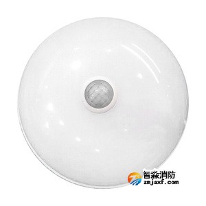 泰和安TS-ZFJC-E5W-6618G集中电源集中控制型消防应急照明灯具 吸顶式