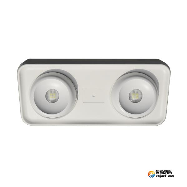依爱EI-ZFJC-E5W-S8645GB集中电源集中控制型消防应急照明灯具
