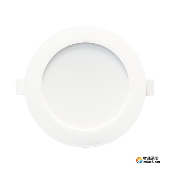 依爱EI-ZFJC-E5W-8645GQ集中电源集中控制型消防应急照明灯具