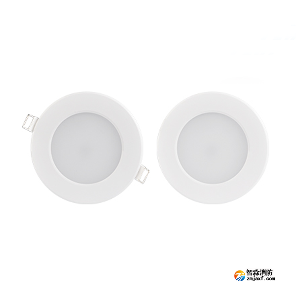 三江SJ-ZFJC-E5W/ZG52集中电源集中控制型消防应急照明灯具