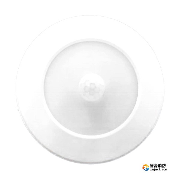 三江SJ-ZFJC-E5W/ZG53集中电源集中控制型消防应急照明灯具