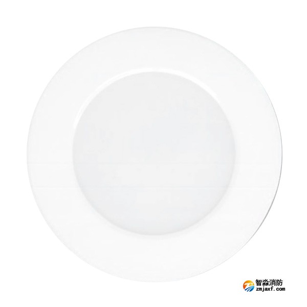 三江SJ-ZFJC-E3W/ZX33集中电源集中控制型消防应急照明灯具