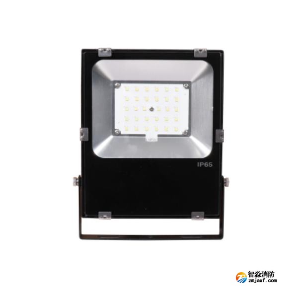 三江SJ-ZFJC-E30W/B031集中电源集中控制型消防应急照明灯具 B型