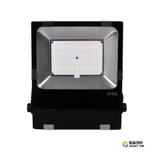 三江SJ-ZFJC-E50W/B021集中电源集中控制型消防应急照明灯具 B型