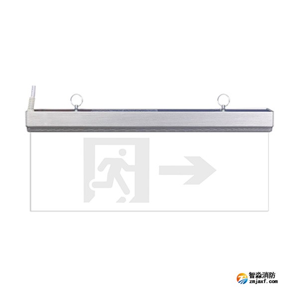 三江SJ-BLJC-Ⅱ2LRE1W/F2171集中电源集中控制型消防应急标志灯具 双面单向