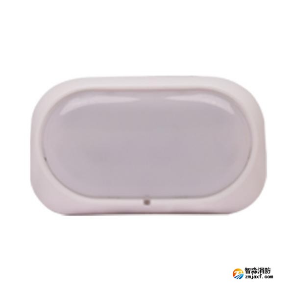 三江SJ-ZFJC-E3W/ZS34集中电源集中控制型消防应急照明灯具（壁挂照明灯）