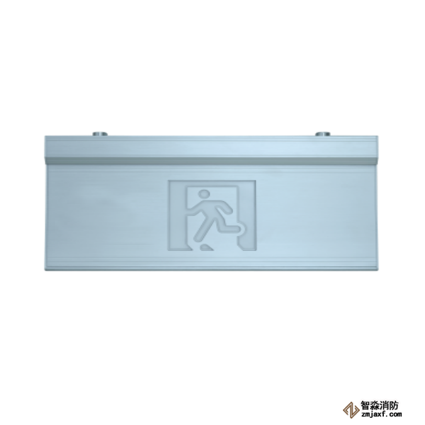 泰和安集中电源集中控制型安全出口指示灯TS-BLJC-2OEⅡ1W-6466E