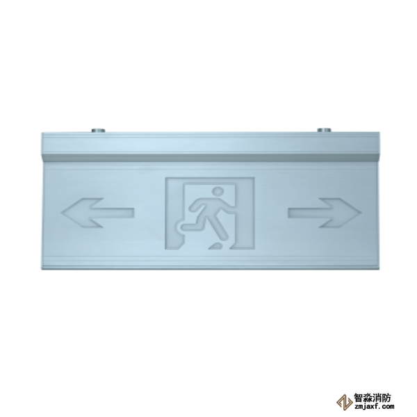泰和安集中电源集中控制型双向消防应急标志灯具TS-BLJC-2LREⅡ1W-6466