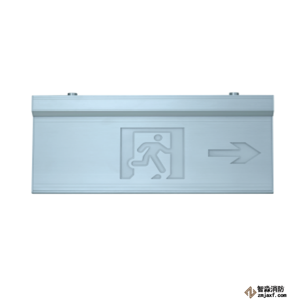 泰和安集中电源集中控制型右向疏散指示灯TS-BLJC-2LREⅡ1W-6466R