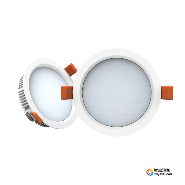 尼特NT-ZFJC-E3W-1307集中电源集中控制型消防应急照明灯具